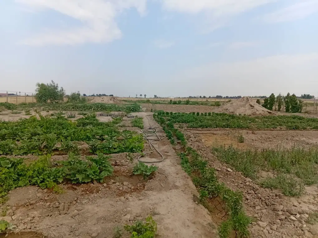 زمین کشاورزی