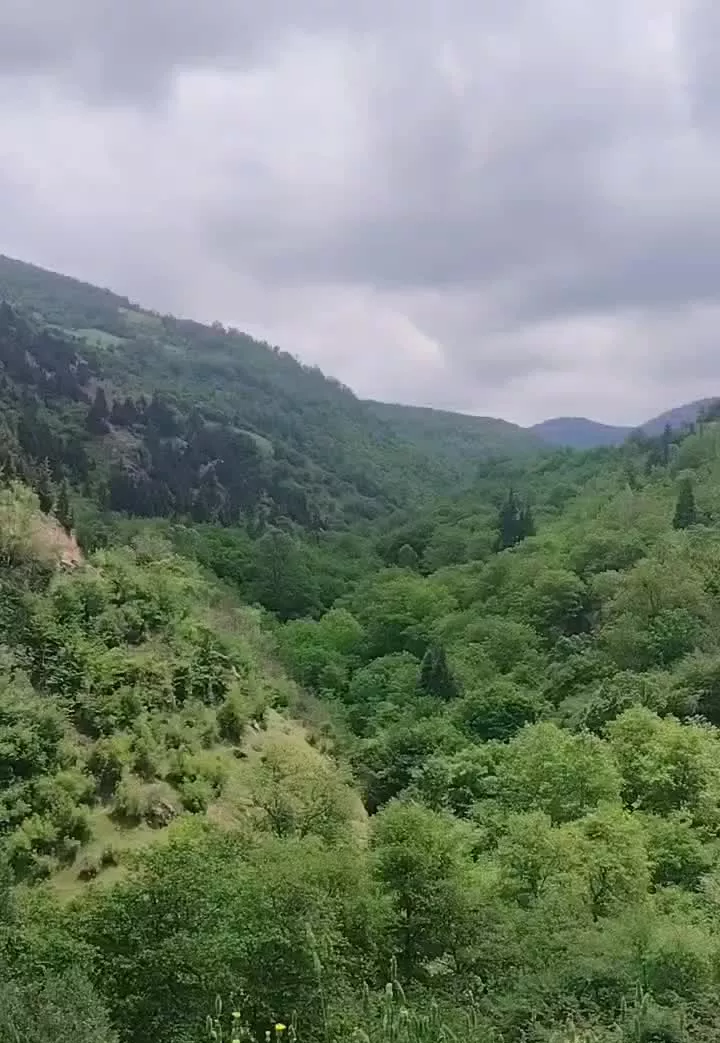باغ صنوبر
