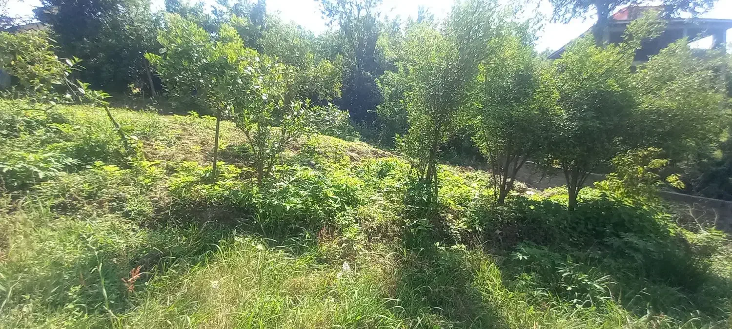 فروش زمین مسکونی با پروانه