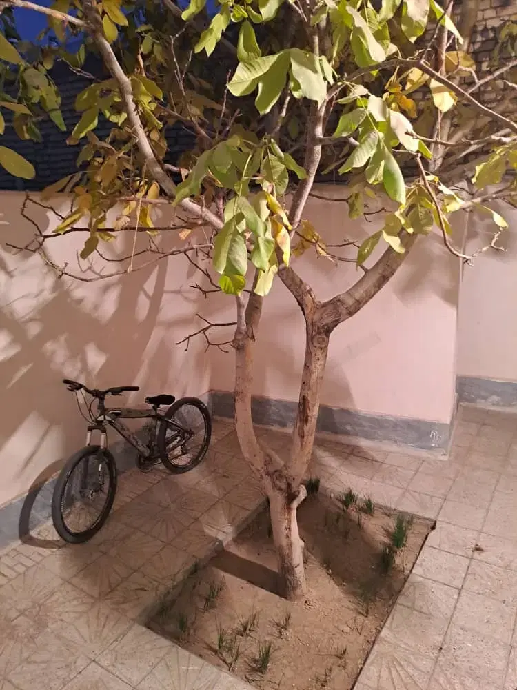 فروش خانه دربست ۱۶۵ متر سند تک برگ عرصه و عیان