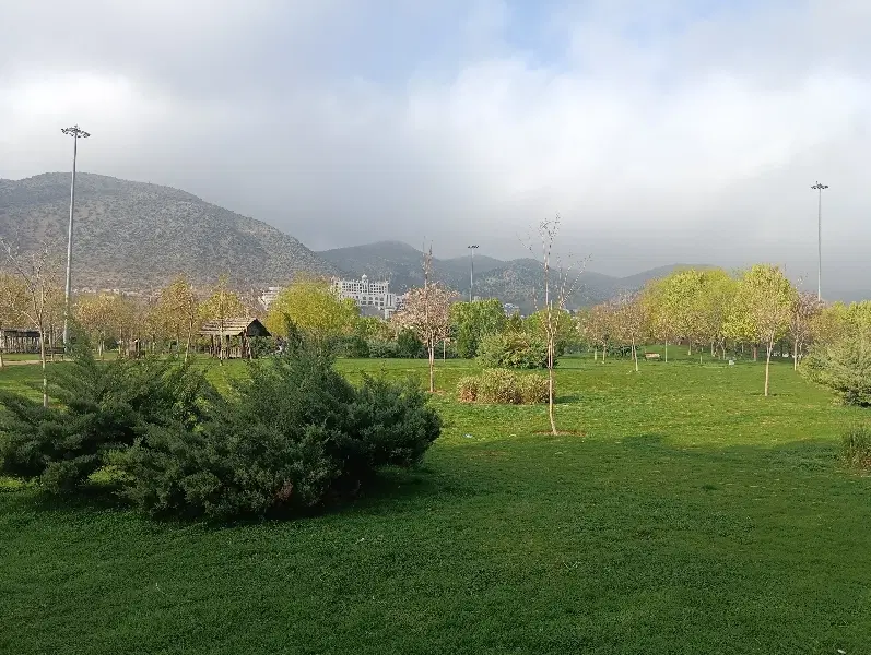 زمین تجاری مسکونی صدرا فاز ۱