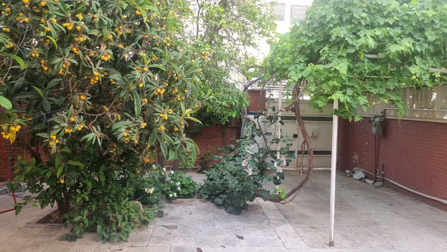 ویلایی سفیرشمالی