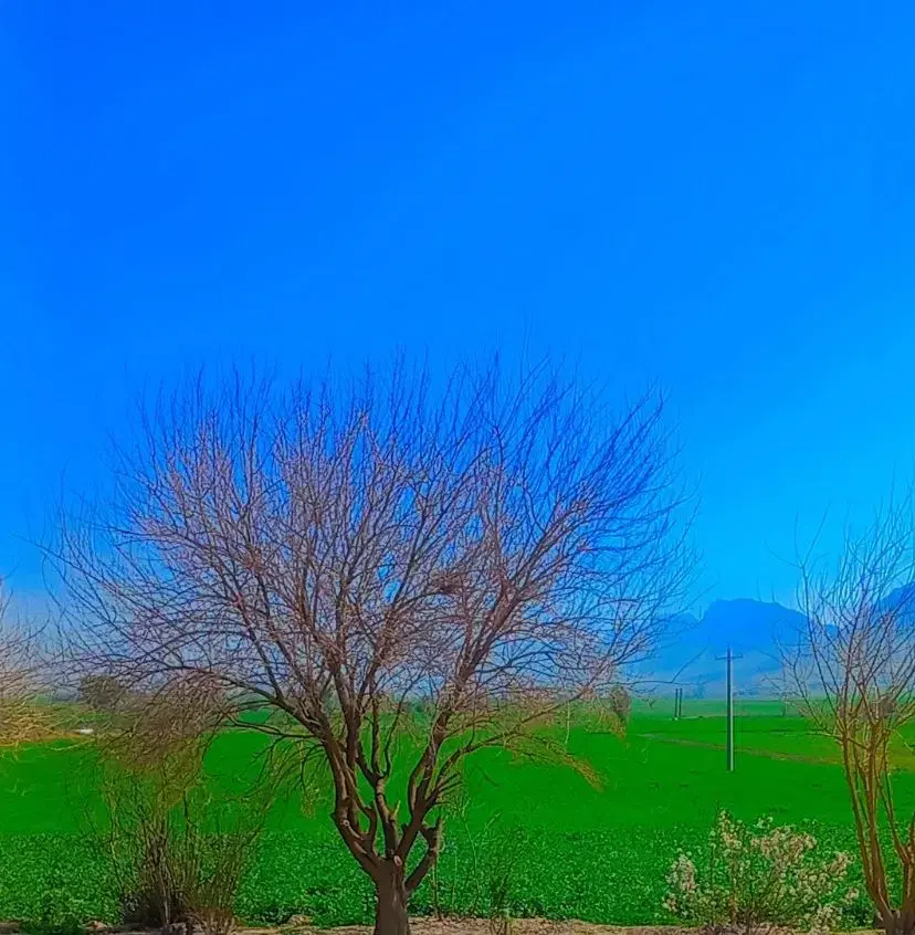 زمین ده پهن زیر قیمت معاوضه با طلا و ماشین دارم