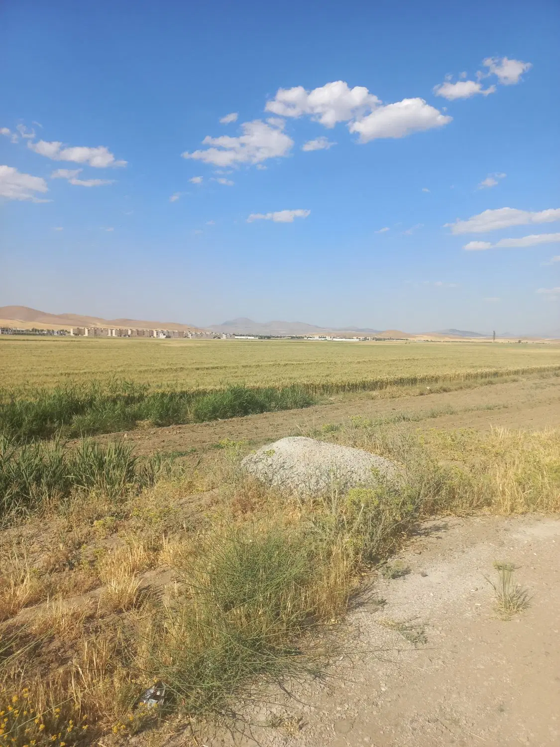 یک قطعه زمین شهرک ناز