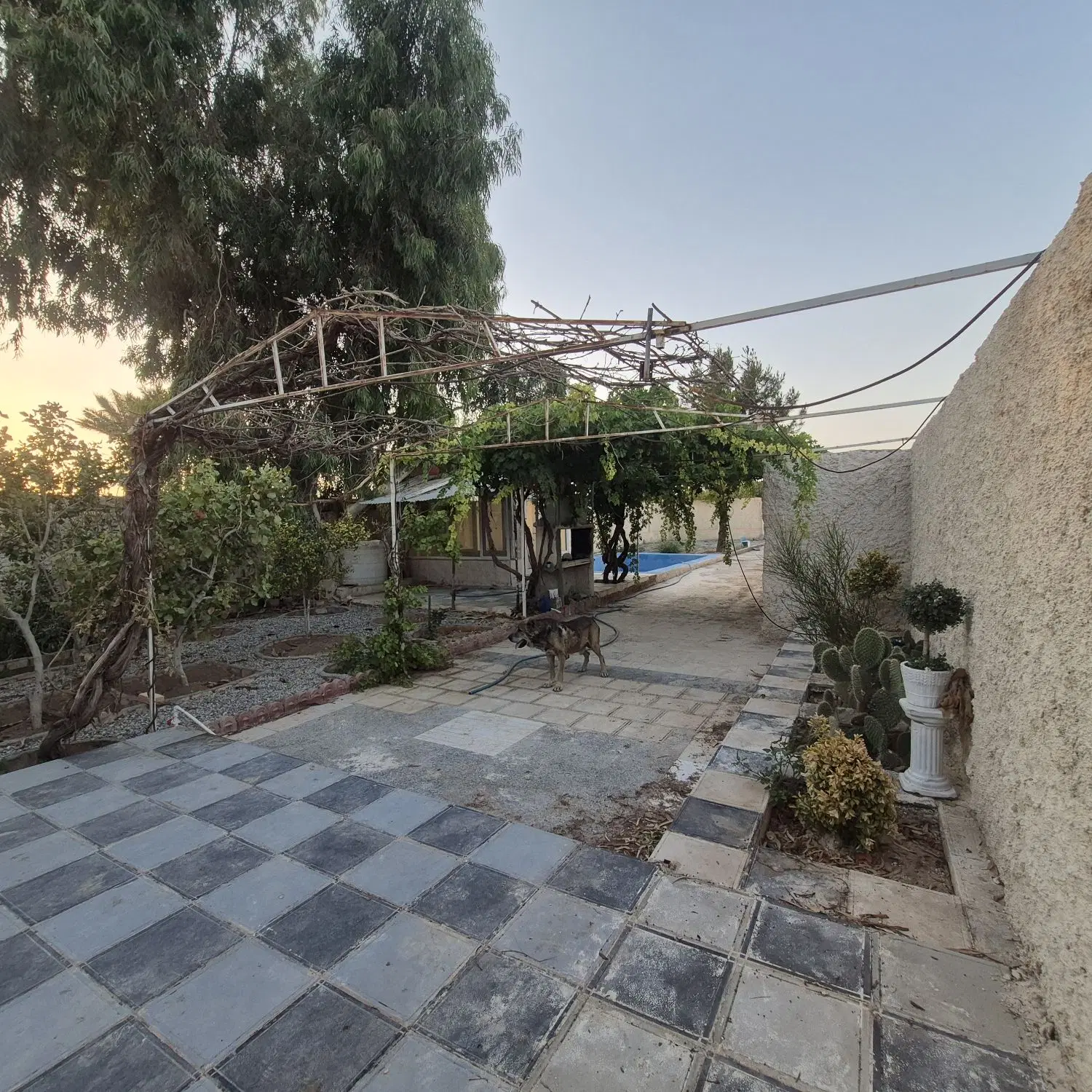 باغچه ایجدون