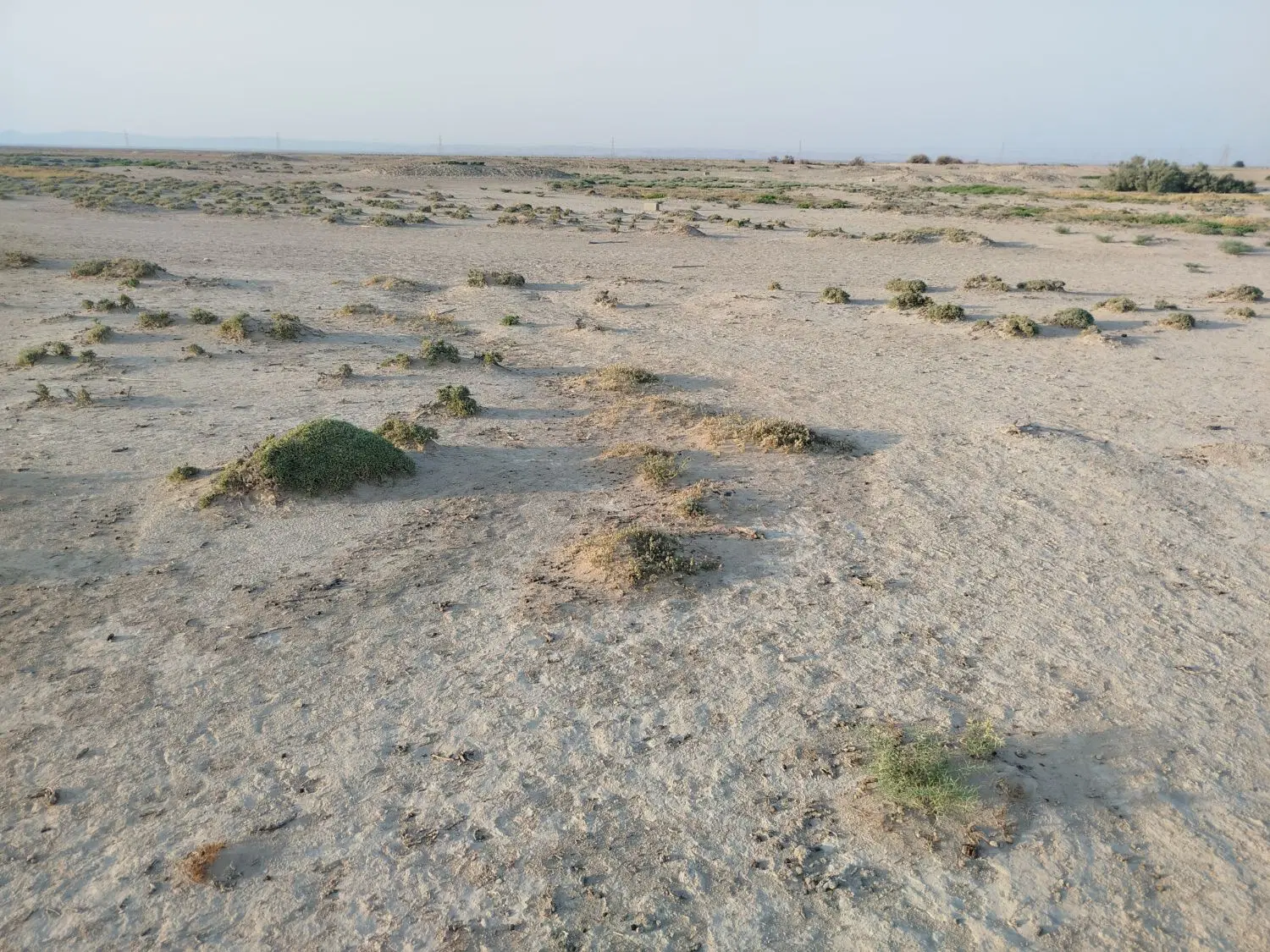 10هکتار زمین کشاورزی روستای کره بند