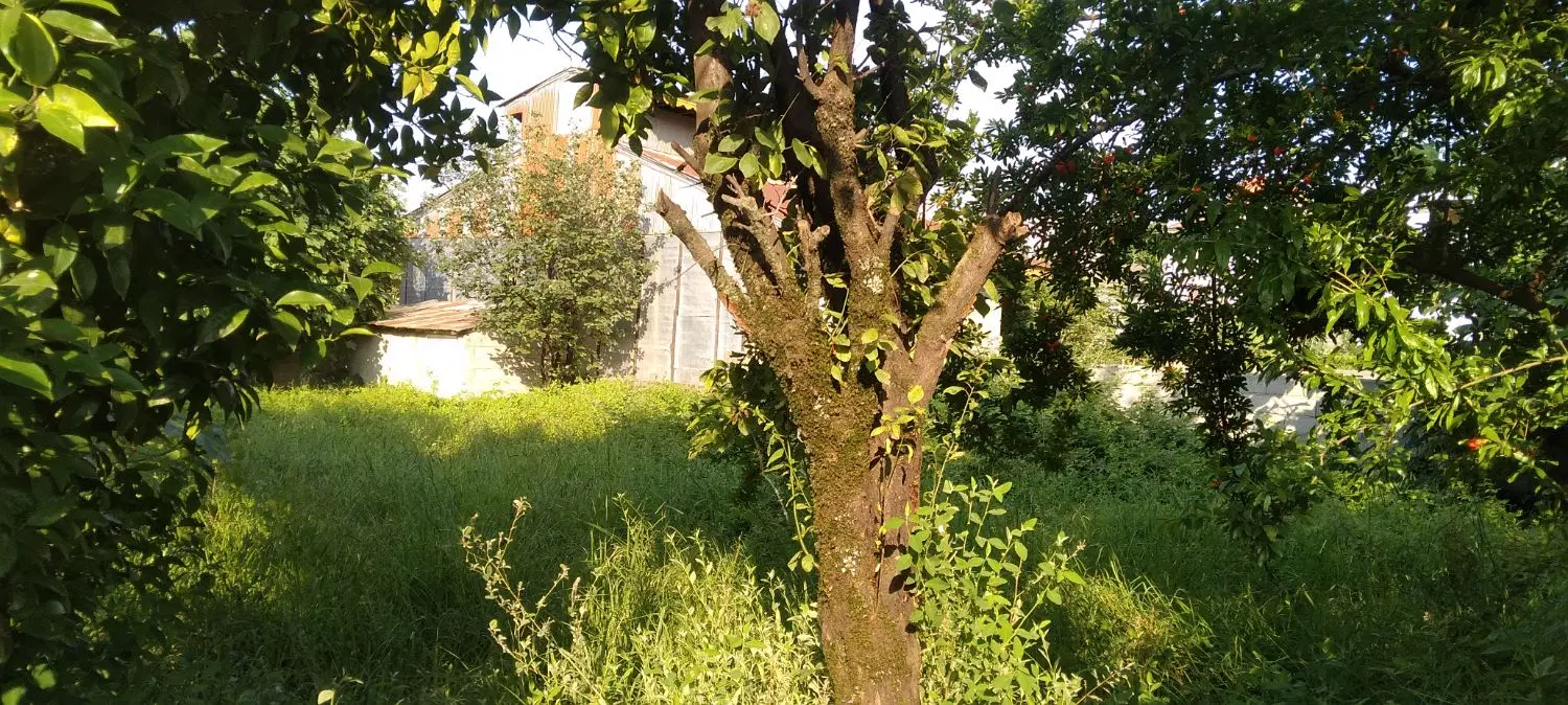 317متر مسکونی سند تگ برگ رضوانشهر