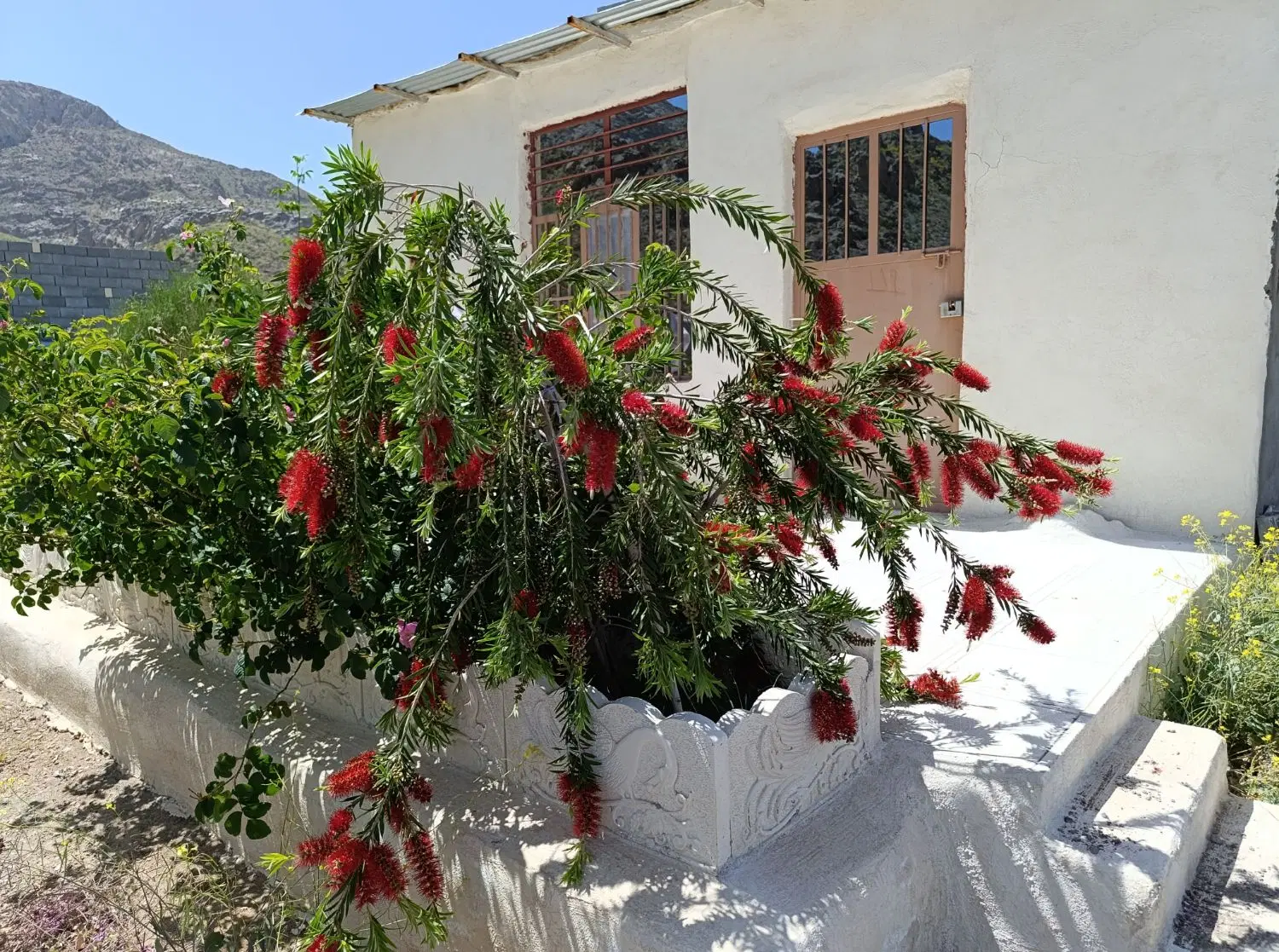 خونه باغ با صفا در منطقه گردشگری بکر باغ چوبی بالا