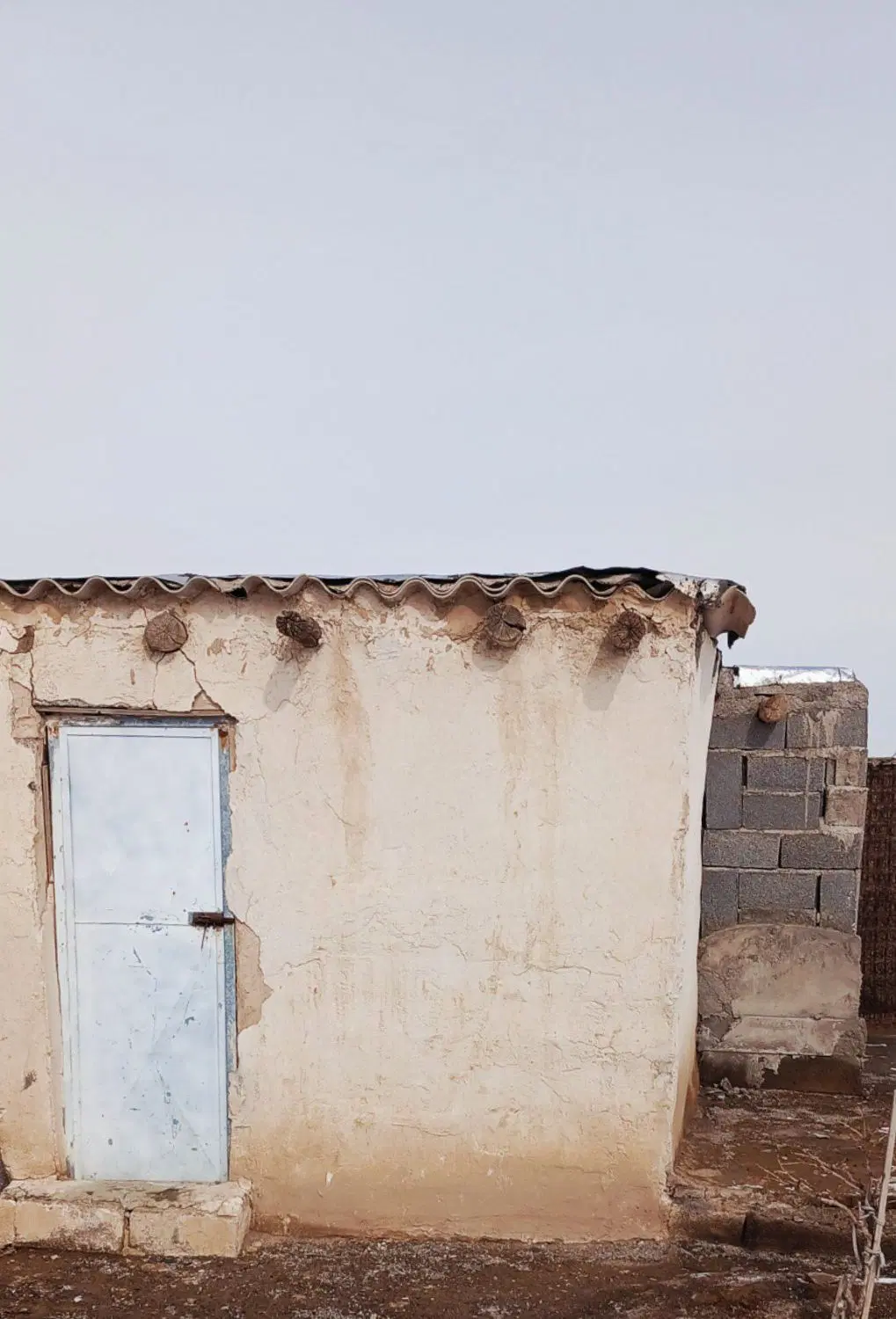 باغ