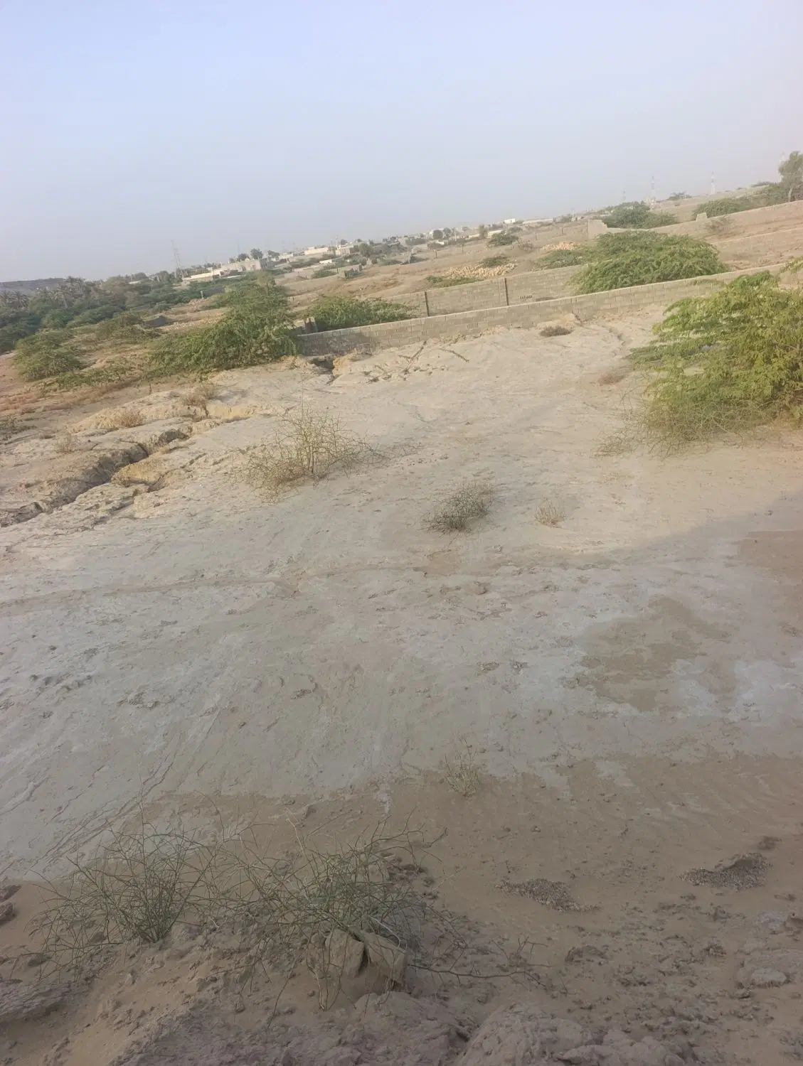 کار