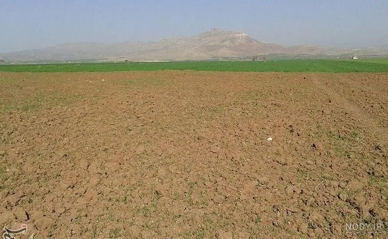 زمین کشاورزی روستای وانشان