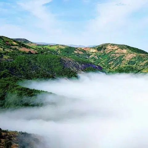 زمین فروشی
