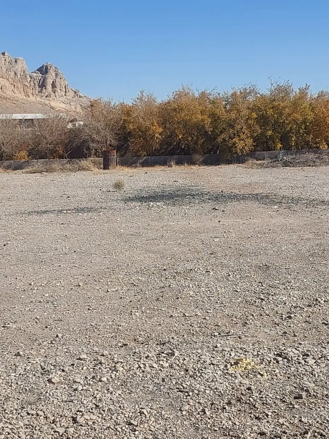 زمین
