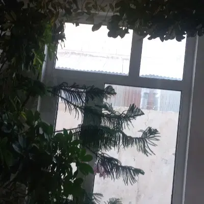 ملک اجاره ایی