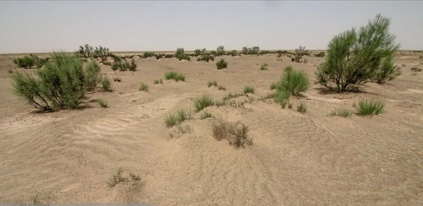 زمین سفیدک