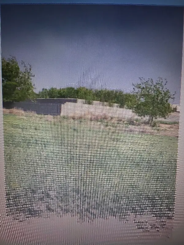زمین پشت خانه رز