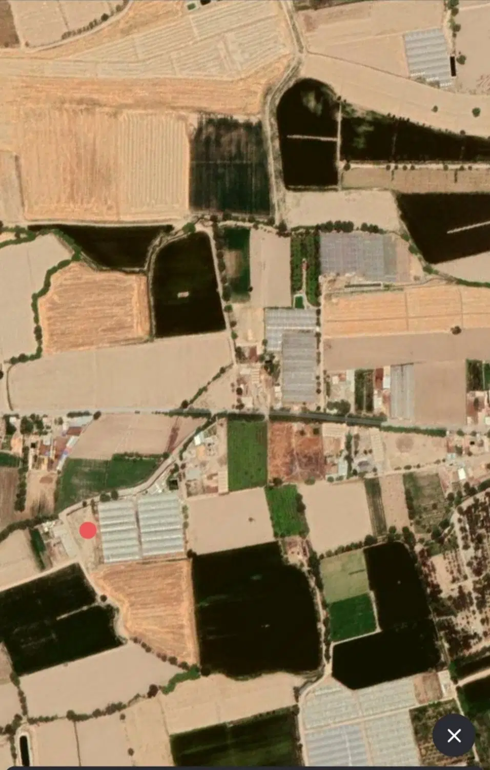 زمین کشاورزی فروشی
