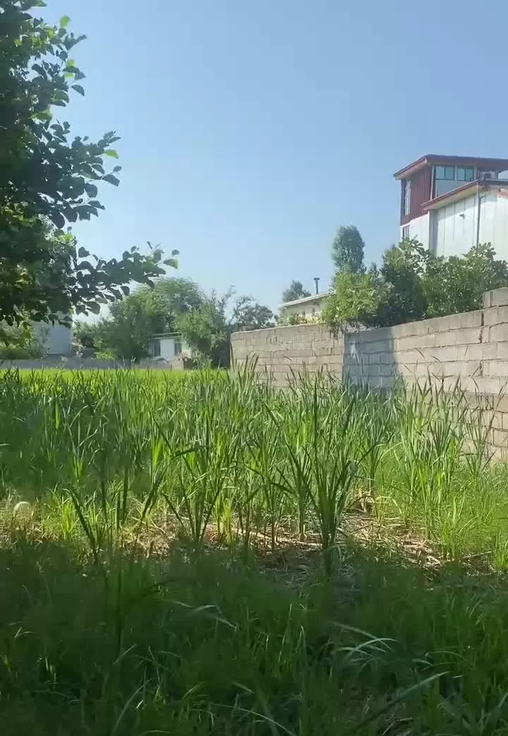 زمین ساحلی