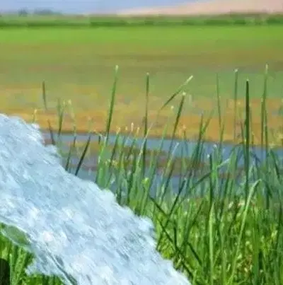 زمین کشاورزی
