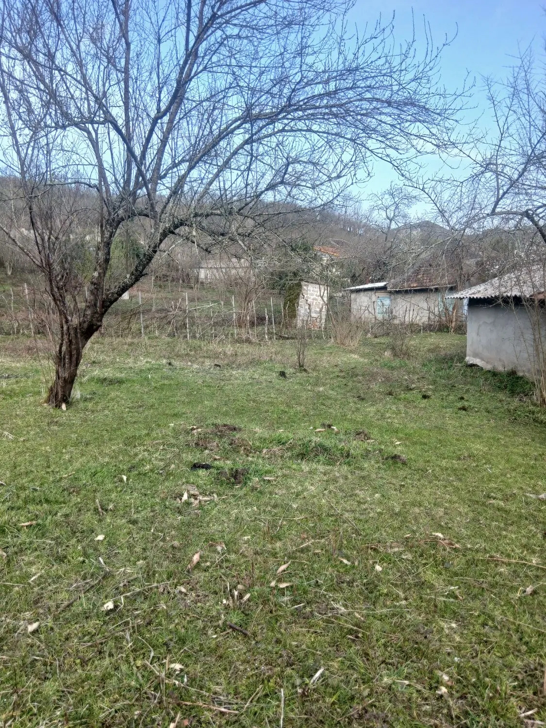 5000 متر ( لیسار هره دشت شمالی )