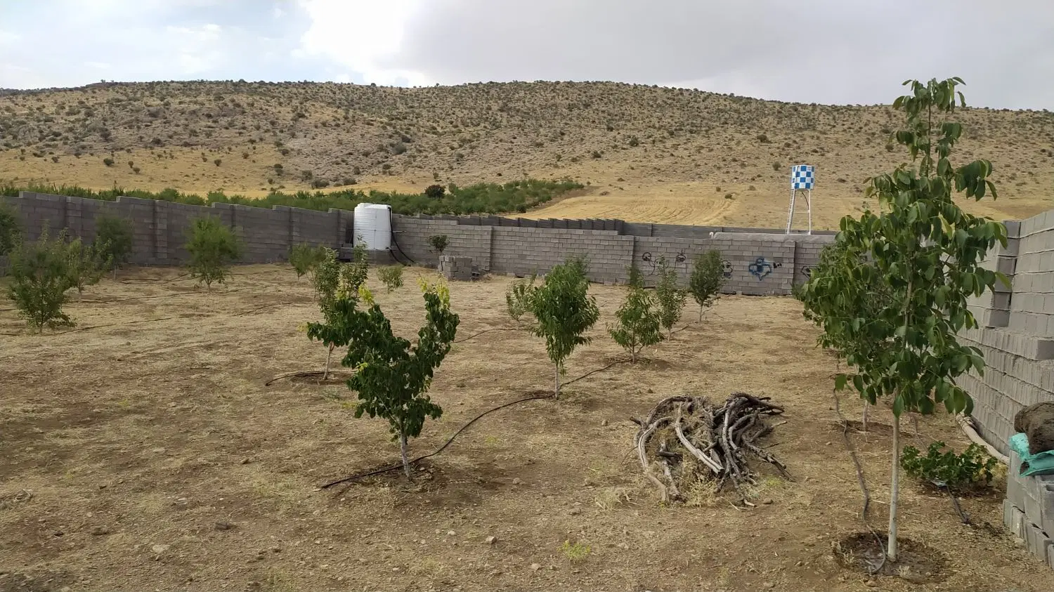 زمین باغی در ابپرده