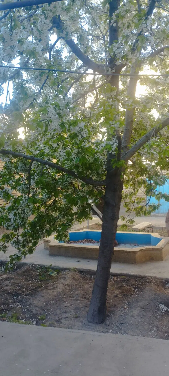 خانه ویلایی در خلجان