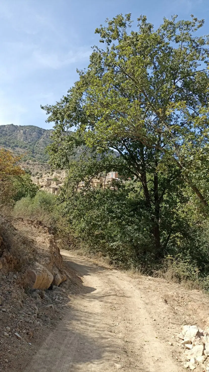 زمین مسکونی اول بیار