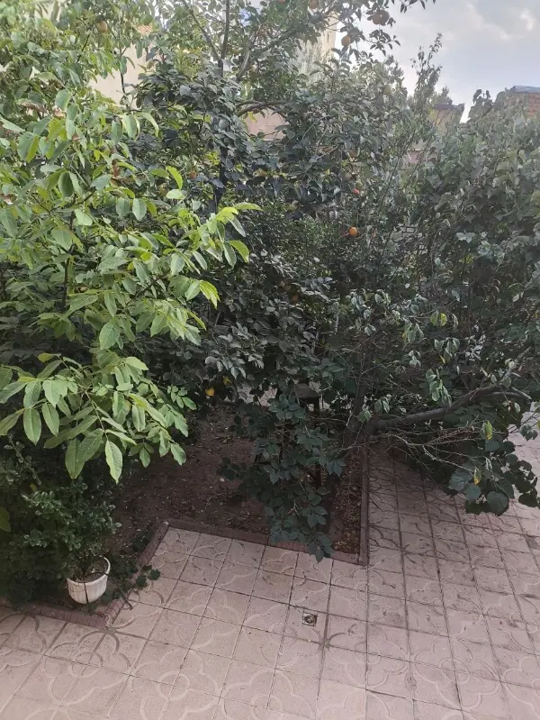 خانه ۱۹۰ متری شمالی