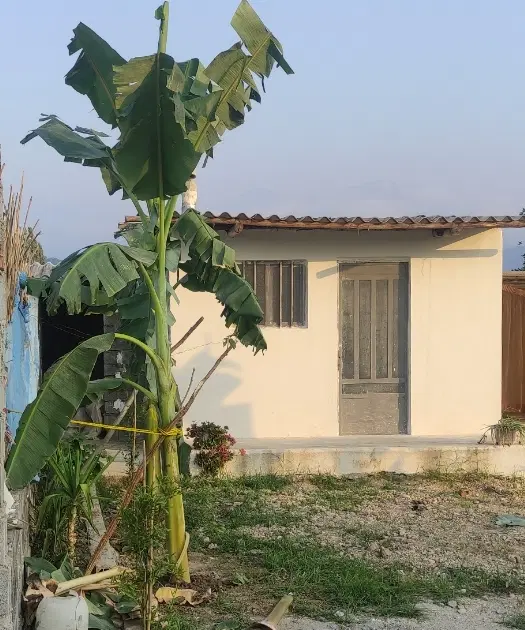 زمین آینده دارسندارتک برگ