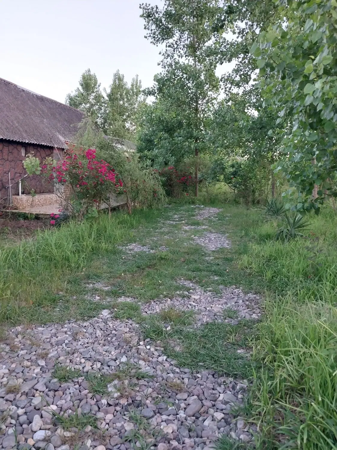 اجاره سالیانه خونه ویلایی