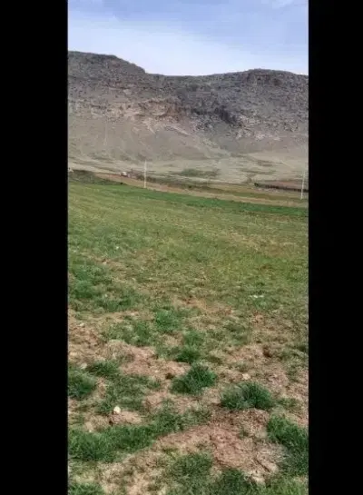 دو قطعه زمین کشاورزی دوستوند