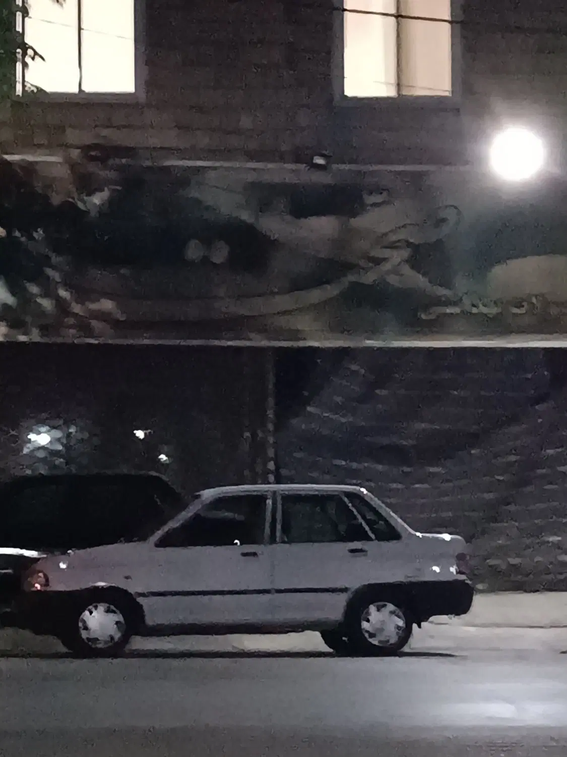 مغازه