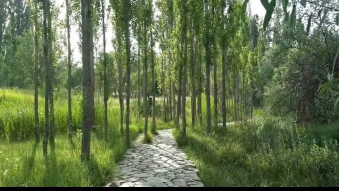 660متر زمین مسکونی خیابان بسیج( مرکز شهر تفرش)