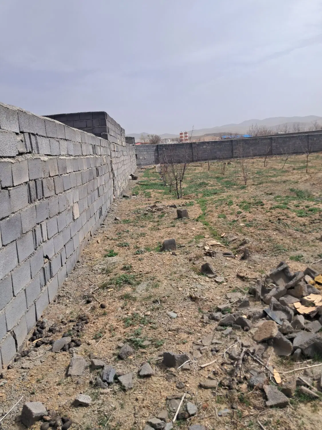 زمین باغی