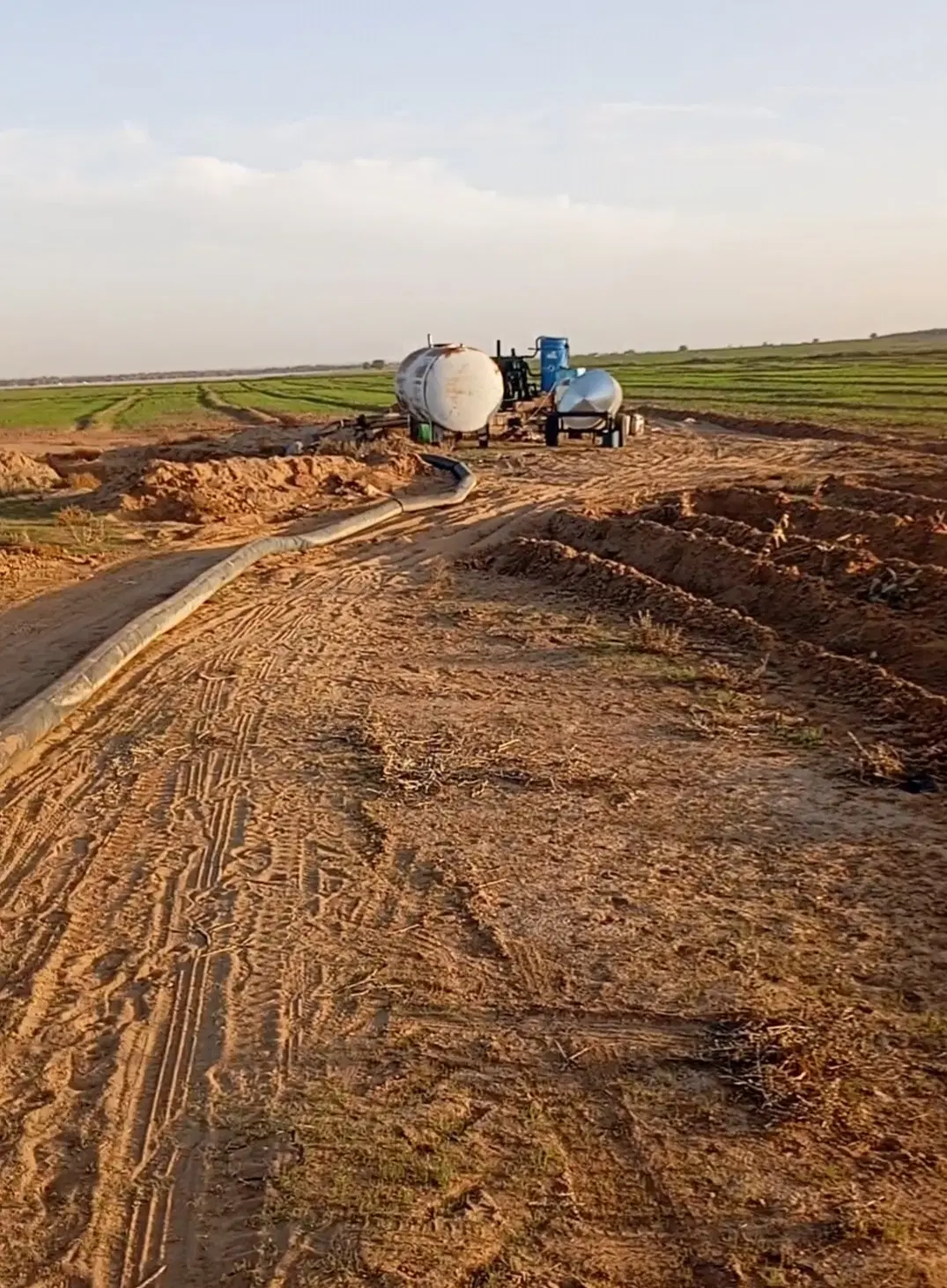 زمین کشاورزی