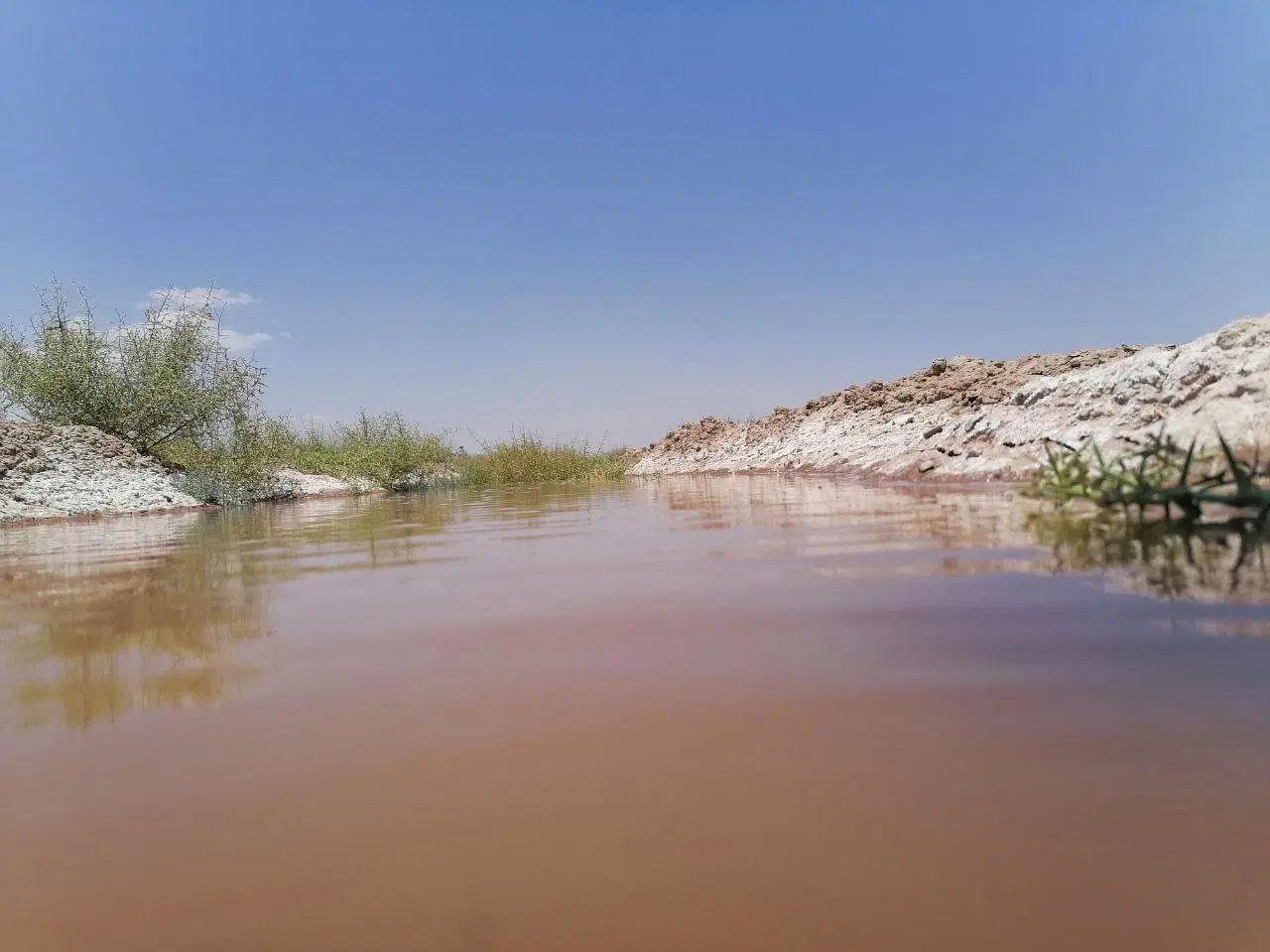 فروش زمین و باغ پسته با آب