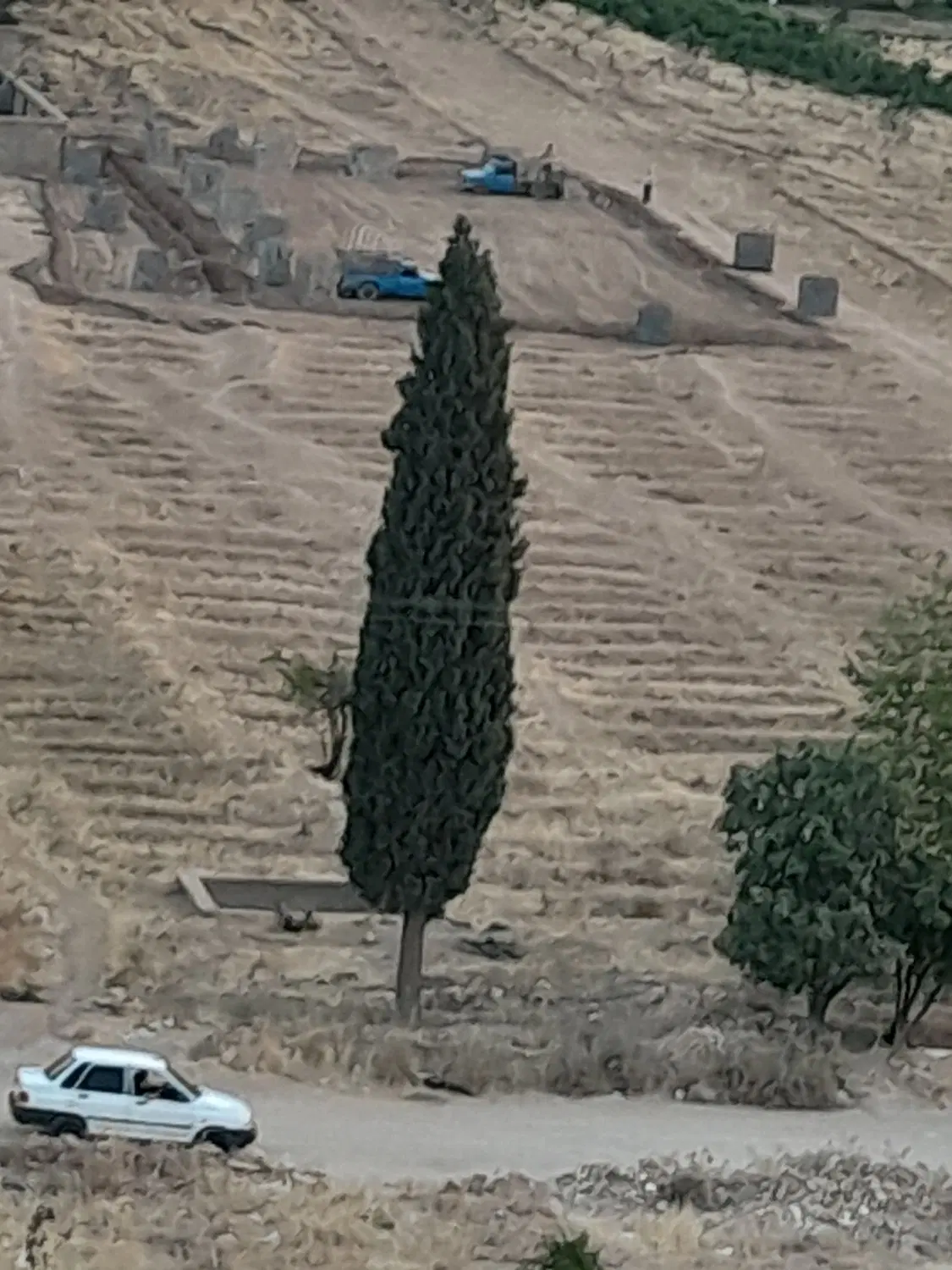 فروش زمین باغ شهری