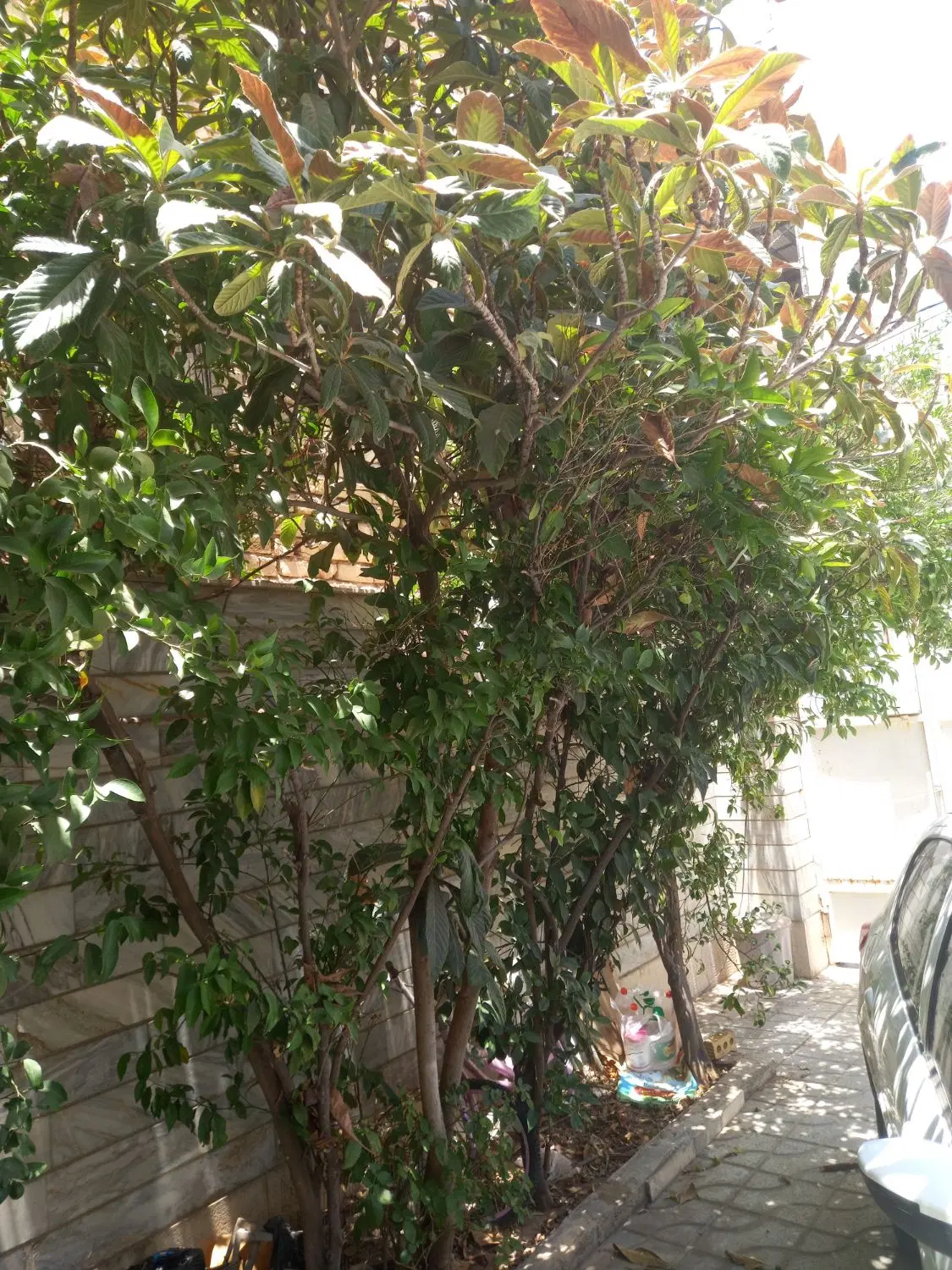 فروش خانه ویلایی