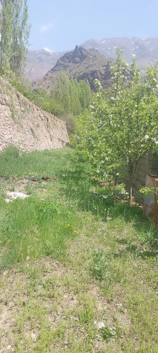 زمین
