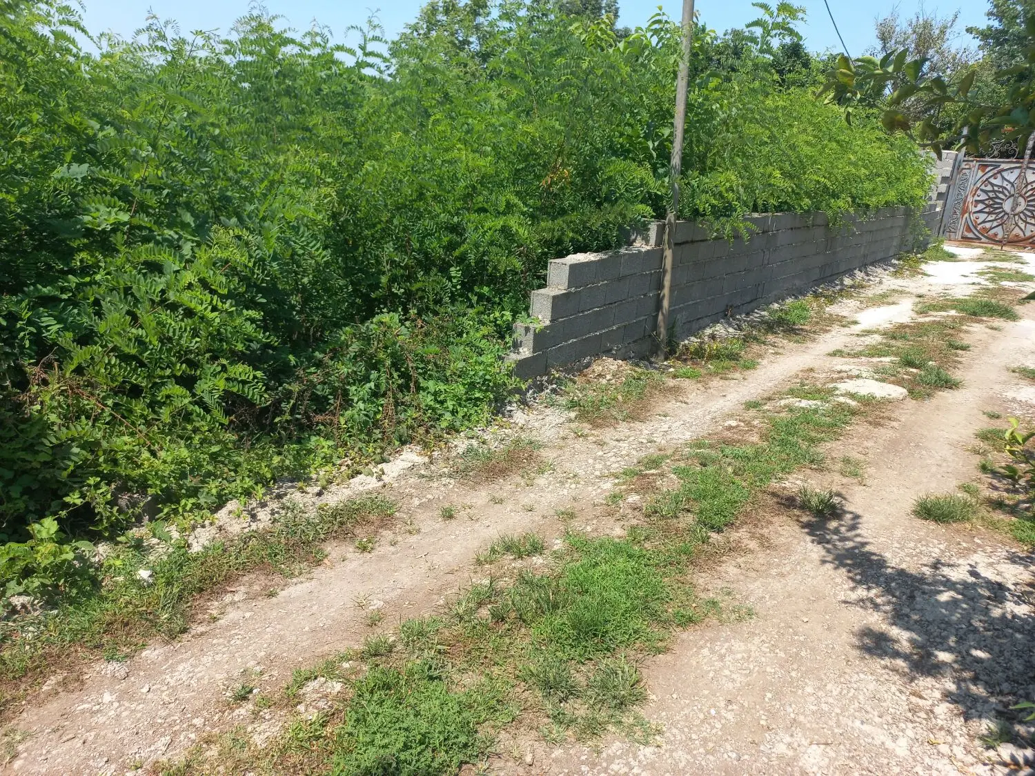 پروانه ساخت
