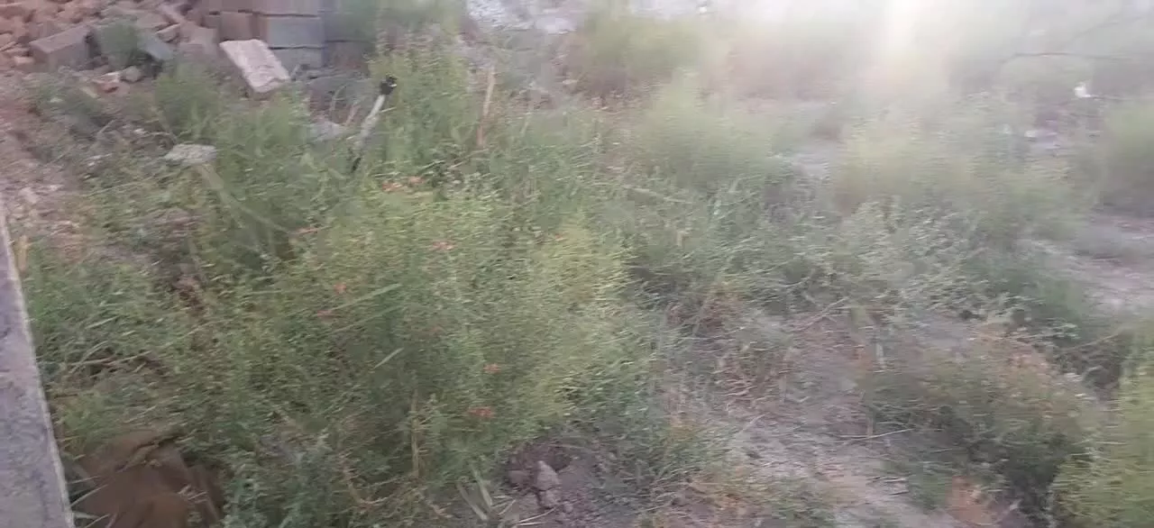 زمین 190 متری