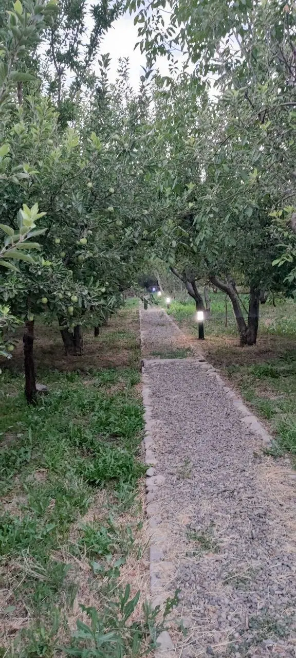 باغ و خونه