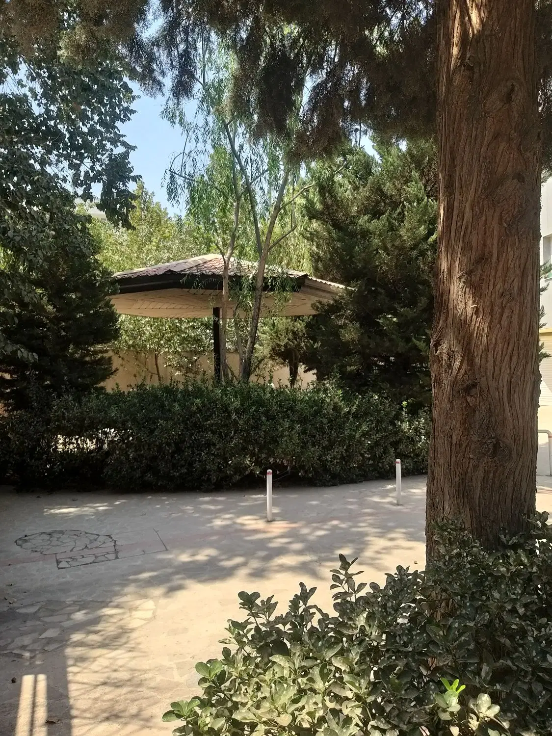 فروش زمین در چمن ۳متراژ  ۲۲۰ متر