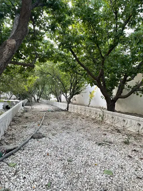 فروش باغچه ۵۰۰ متری با درختان ۲۰ ساله