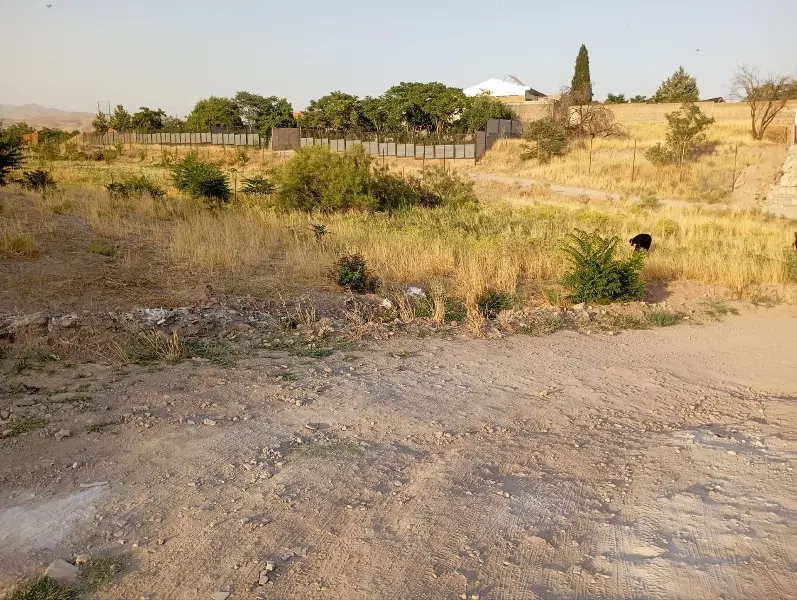 زمین در کوچه اکسیژن