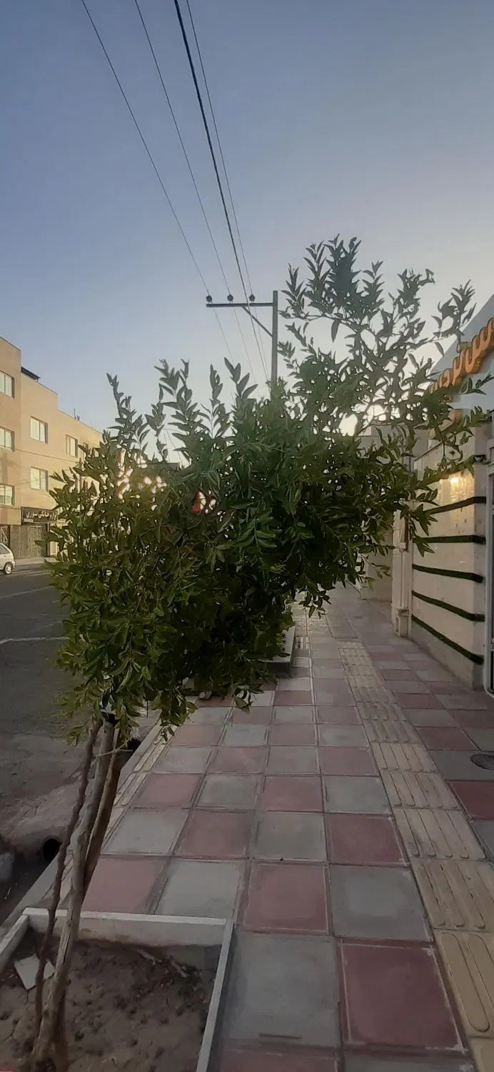 طبقه اول دو خوابه