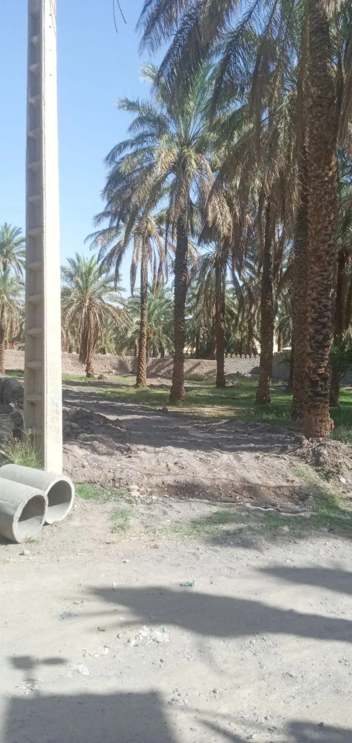 فروش زمین باغی