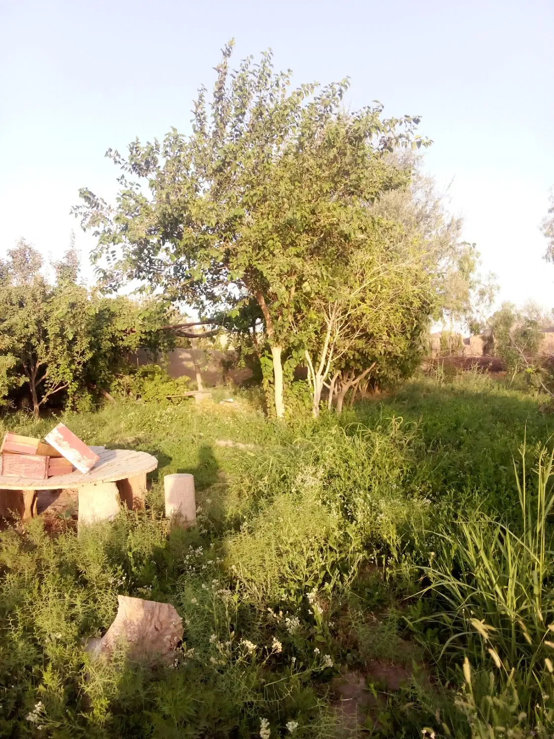 زمین در احمد آباد رضوی