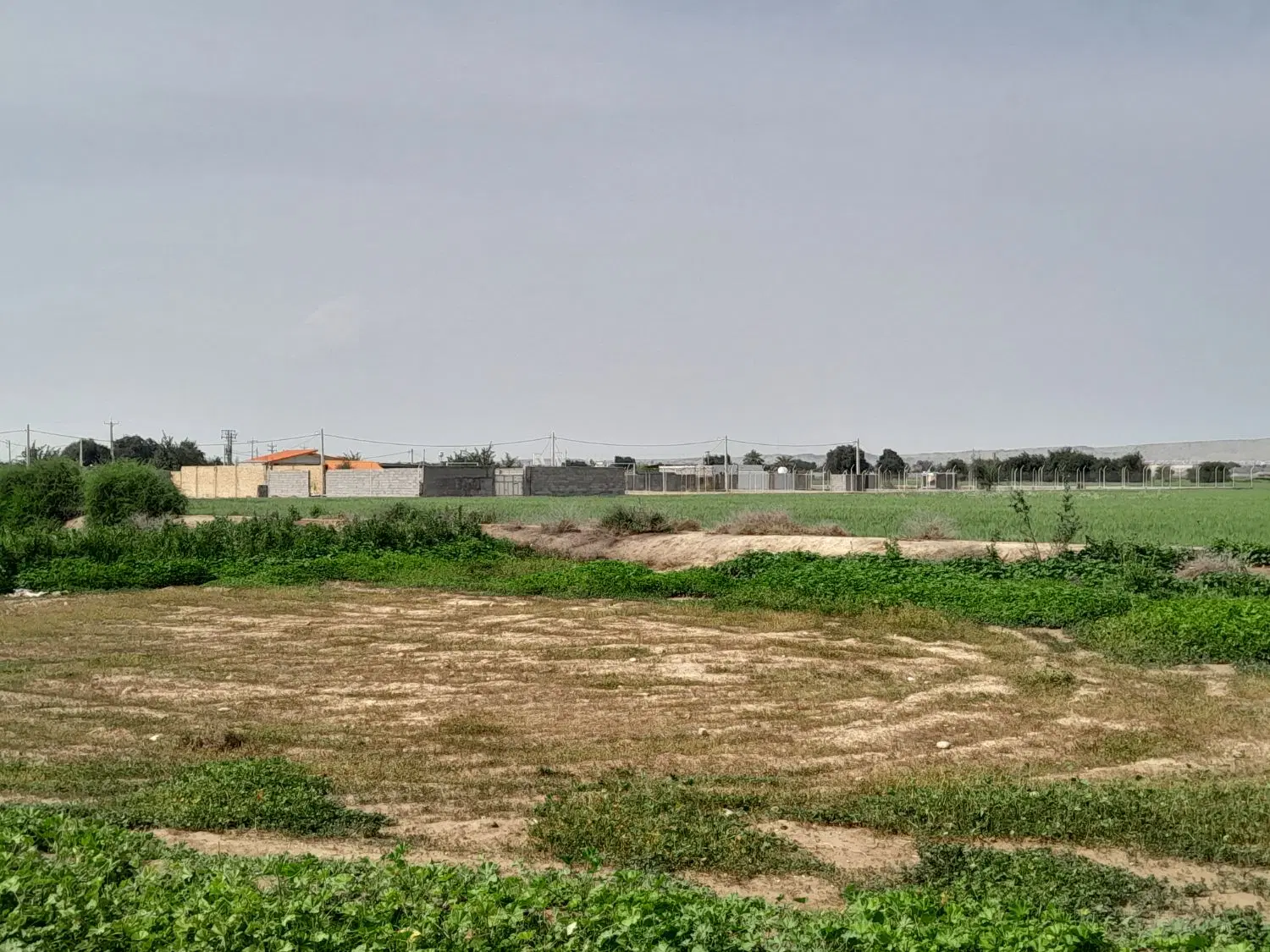 خانه