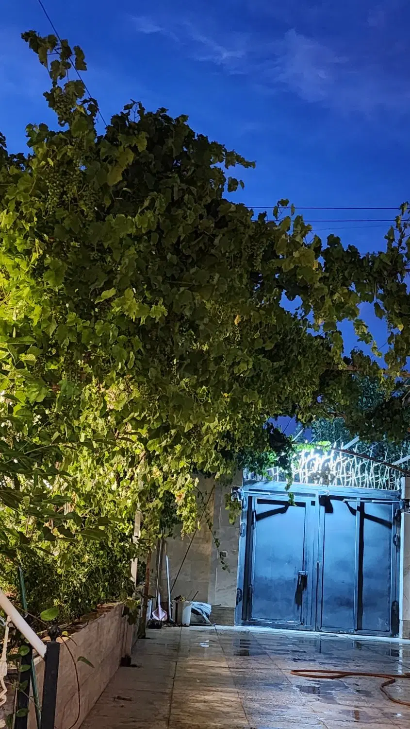 زمین بهترین منطقه گلمکان سند تک برگ